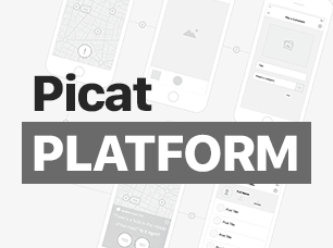 Picat Platform